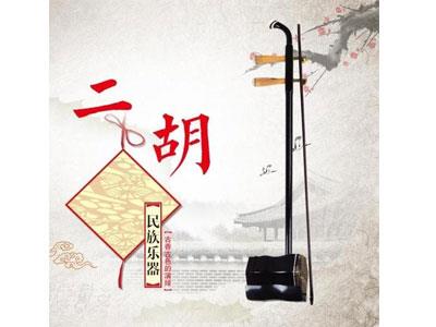 招聘普洱二胡家教老师